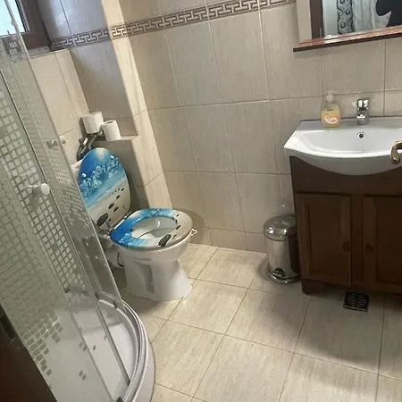 Vila Ionut 民宿 曼加利亚