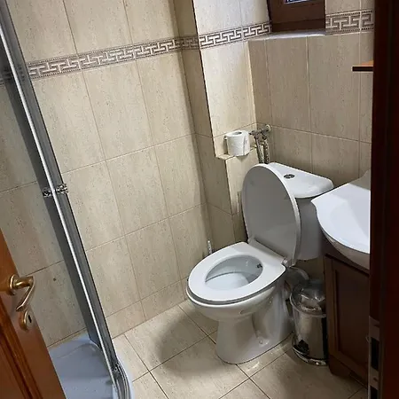 Vila Ionut 民宿 曼加利亚